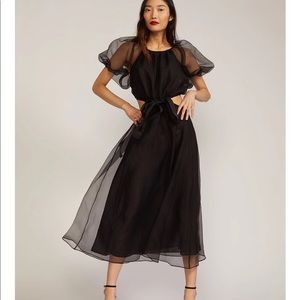 Cynthia Rowley Black Organza Dress - Gorgeous!